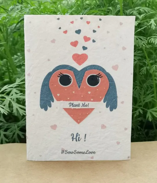 Valentine's Day Greeting Card with Envelope Owl